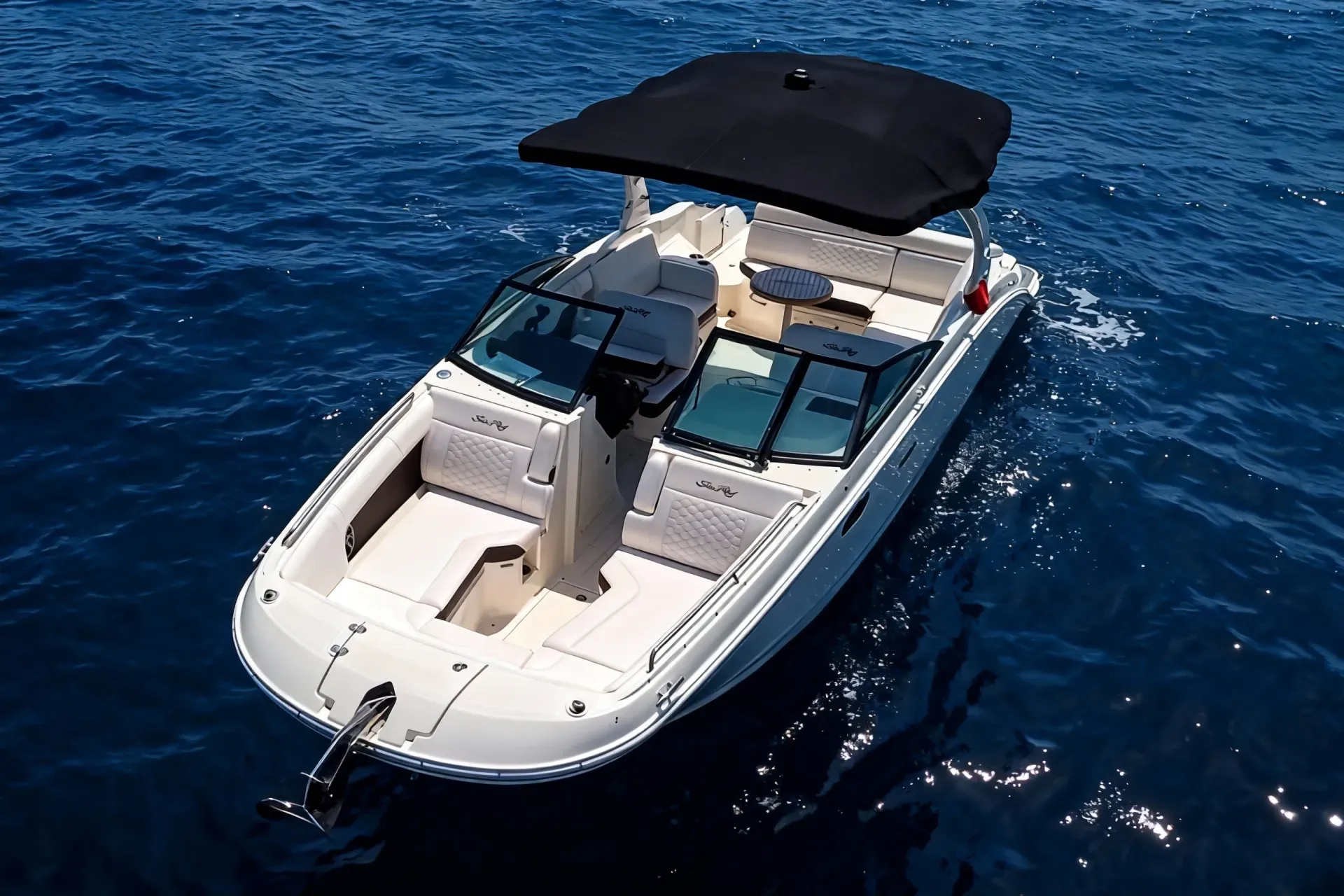 Sea Ray SDX 270, photo 2