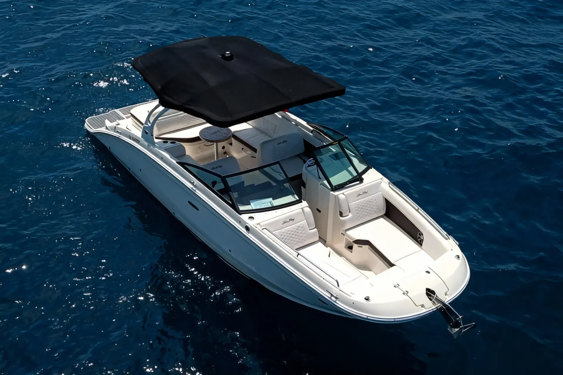 Sea Ray SDX 270, photo 3