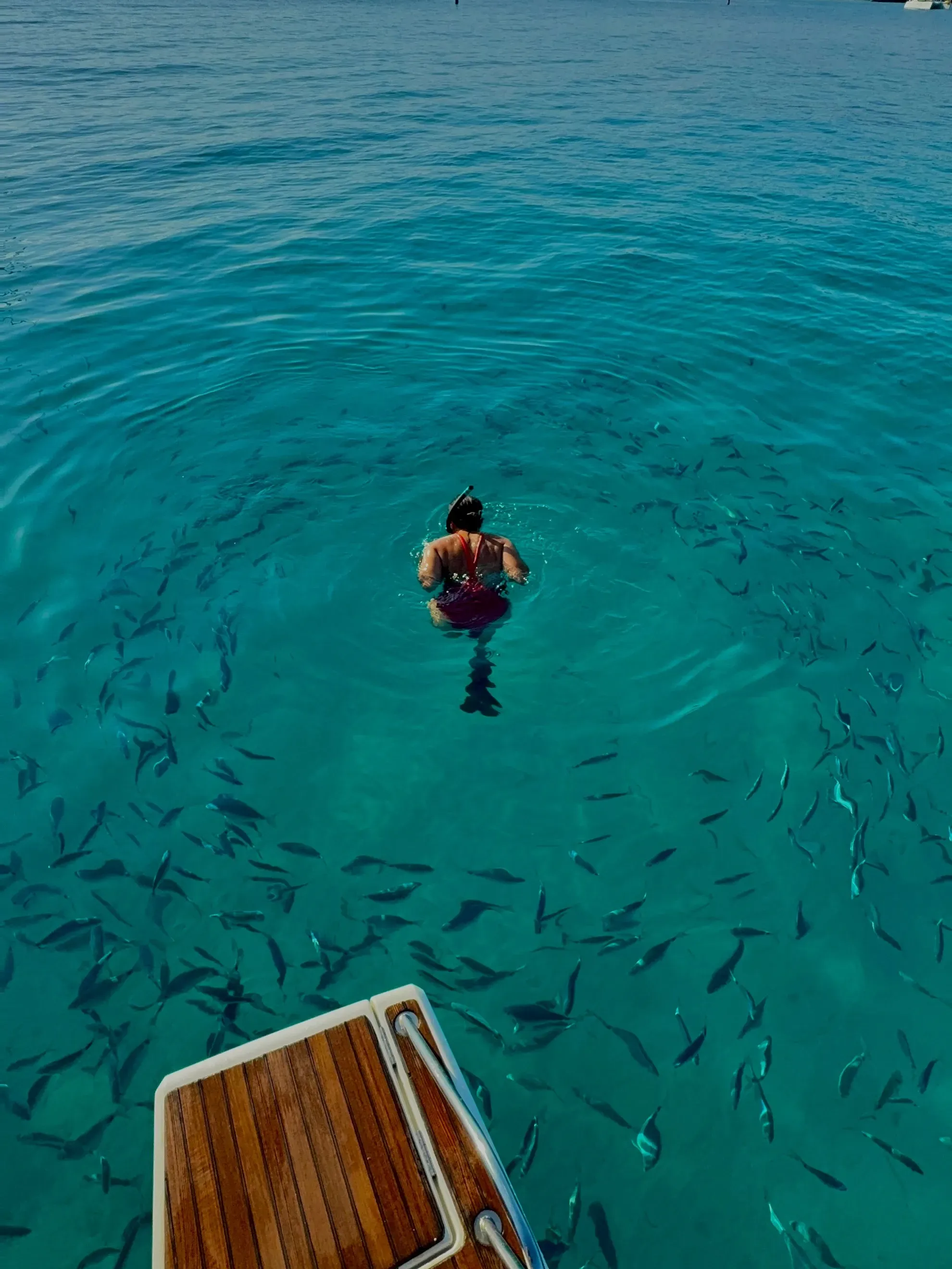 Snorkeling dans les eaux turquoise, depuis la plateforme du bateau